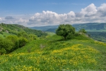 Лабинский Район Фото
