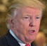 Трампа запугивают "силой кисок" - Сочи 24