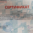 Predprinimatel 2016 2 - Сочинский институт РУДН