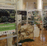 Итоги конкурса "Сквер имени Венчагова" (копипаст) - PrivetSochi.Ru