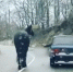 В Сочи водитель выгуливал лошадь прямо на автотрассе - ГТРК Кубань в г. Сочи