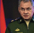 Шойгу поставил главу Пентагона на место - Сочи 24