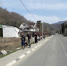 ОСИРОТЕЛИ… - PrivetSochi.Ru