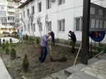 ОСИРОТЕЛИ…
