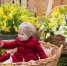 Уже в эти выходные пройдет II Международный цветочный фестиваль "Sochi Flower Fest"! - PrivetSochi.Ru