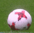 В Сочи разыграют бесплатные билеты на Кубок Конфедераций FIFA 2017 - ГТРК Кубань в г. Сочи