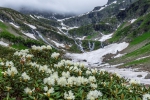 Озеро Ачипста - BlogSochi.Ru