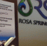 Лучшей гостиницей Сочи признан бальнеологический отель Rosa Springs - Сочи объектив