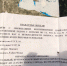 Мусорники с Роз 31-37 уберут - PrivetSochi.Ru