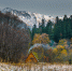 Долина Имеретинки. Осень. - BlogSochi.Ru