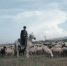 Ретро-фотографии Сочи, 1967 год - 1838.РФ