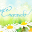 #ЩедрыйВторник - PrivetSochi.Ru