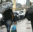 Последняя неделя года в Сочи началась с дождей - ГТРК Кубань в г. Сочи
