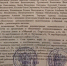 Олимпиада танком прошлась по поселку Мирный, но поселок намерен выжить - PrivetSochi.Ru