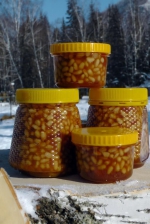 орешки в мёде 100г