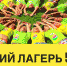 Детский развивающий летний лагерь «Микс» - ваш ребенок отлично проведет лето! - PrivetSochi.Ru