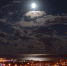 природа - PrivetSochi.Ru