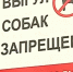 В центре Сочи собак стали выгуливать в намордниках и с пакетами для экскрементов - Сочи объектив