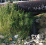 1 - PrivetSochi.Ru