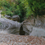 55-01.jpg - PrivetSochi.Ru