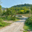 61-01.jpg - PrivetSochi.Ru
