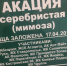Сочинским дольщикам ЖСК не разрешили высадить рощу акаций в парке «Дендрарий» - Сочи объектив
