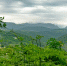 VS29-01.jpg - PrivetSochi.Ru