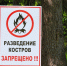 В Сочи продолжает действовать особый противопожарный режим - Администрация г. Сочи