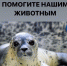 Аквариум на Мацесте просит помощи жителей города! - PrivetSochi.Ru