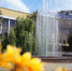 Это просто песня! - PrivetSochi.Ru