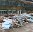 СПАСИТЕ СТАДИОН " ЛОКОМОТИВ" В ХОСТЕ - PrivetSochi.Ru