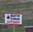 В Сочи действуют правила выгула домашних животных - Администрация г. Сочи