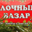 В Краснодаре 15 декабря откроются елочные базары - SochiStream.Ru