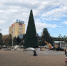 В Сочи завершают устанавливать главную елку города - SochiNews.io