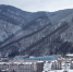 Заснеженное утро в Красной Поляне Сочи сняли на видео (видео) - Sochi24.tv