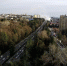 Адлер опять горит! - PrivetSochi.Ru