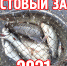 Сочинцам напомнили об ограничениях рыбной ловли - Sochi.Com