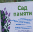 Сочинские школьники приняли участие во всероссийской патриотической акции - Администрация г. Сочи