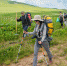 Единая сеть туристических горных маршрутов появится в Сочи в 2023-2024 году - Sochi24.tv