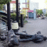 Фото: instagram.com/sochi__today - Sochi.Com