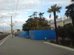 Адлер 2010