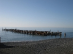 Адлер 2010