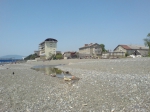 Адлер 2010