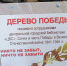 «Дерево Победы»-маленький саженец кипариса посадили сотрудники Центральной городской библиотеки - Управление культуры
