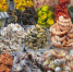 Туристка рассказала, какие на вкус сочинские рапаны и стоит ли их покупать - Sochi24.tv