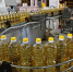 Экспорт кубанской сельхозпродукции вырос на 20% - SochiStream.Ru