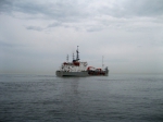 Адлер 2012