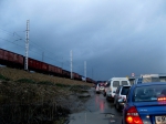 Адлер 2012