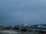 Адлер 2012