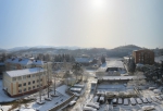 Адлер 2012